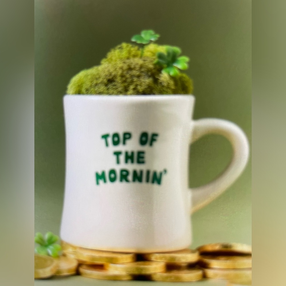 ❤️ ANTHROPOLOGIE ALICE & WONDER ST PATRICK’S DAY MUG NEW